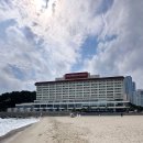 조선비치 | 웨스틴 조선 부산 호캉스 솔직 후기 디럭스 비치 온돌 객실