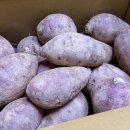 주식회사 샘터