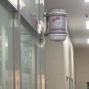 더 예쁘개 이미지