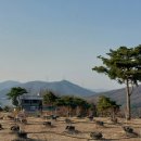 모래봉농장 이미지