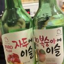 독일여행 No.7 대형 아시아마트(Go Asia Supermarket)&amp;소주후기