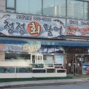 청정회타운 | 일산 횟집 풍동 청정회활어에서 신선한 대방어 먹고왔어요