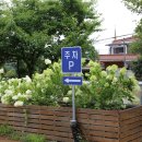 베스트카써비스 이미지