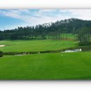 오시아노골프클럽 이미지