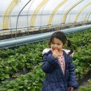 보영농장 이미지