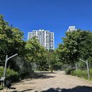 평촌공원 이미지