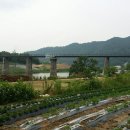 섬진강 향가오토캠핑장 이미지