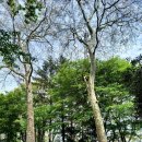 서림공원 유아숲체험원 이미지