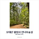 생태공예힐링핼퍼(2급) | 드라마 도깨비 촬영지: 맨발로 황토를 밟으며 느끼는 상쾌한 피톤치드 &lt;오대산 월정사 전나무숲길&gt;