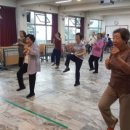 용인대 I 태권도장 이미지