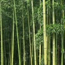 (주)평안에너지 이미지