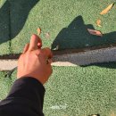 경기도 구리시배드민턴장 이미지