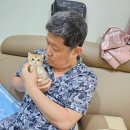 퍼스트독김해