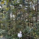 노일 화장실 이미지