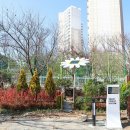 판교초등학교 이미지