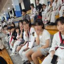 장안체육관(태권도) 이미지