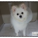 미드미동물병원 이미지