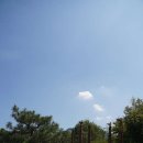 조동리선사유적박물관 이미지