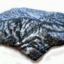 나무와 돌 이미지