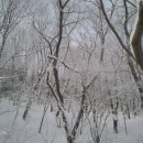 번암무룡고개로 이미지