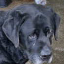 영천산단로 이미지