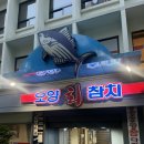 오양회참치 | [광화문 참치/회덮밥] 오양회참치에서 푸짐한 회덮밥 먹은 후기