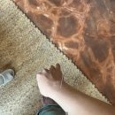 제주숲한의원 | [제주 한의원 추천/서귀포 한의원]제주숲한의원