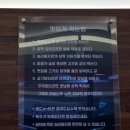 레드온 이미지