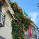 퀸 당구클럽 이미지