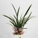 물망골길 이미지