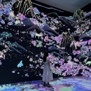 혜원 풍속화, 춤으로의 랜선여행 | 구름이 걷히니 달이 비치고 DDP전시 미디어아트 관람후기