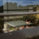 평대스테이 이미지