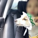 명일민박 이미지