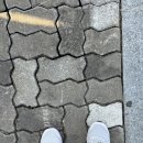 230005 | 제2회 효도밥상 마라톤 5KM 러닝