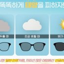 으뜸플러스안경 남양주진접점 이미지