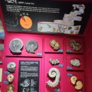 우석헌자연사박물관 이미지