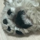 운암오토바이 | 오랜만이네. 연애