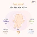 주말교육-네임택 달고 세계로 | [W24-W26] 두근두근 임당검사, 임신 후기로의 진입!
