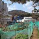 다사초등학교 건너 이미지