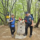 군포 수리산 진달래축제 ~ 이미지