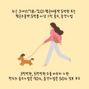 그린기업