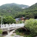 황룡목장 이미지