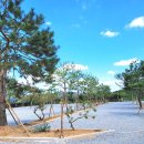 파주눌노리체험캠핑장 이미지