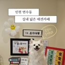 연수 유치원 | 인천 실내 넓은 애견카페 연수구 호도독 유치원 돌봄 가능한 놀이터 후기