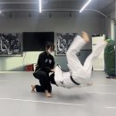 동양무술관합기도