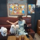 개랑놀아주는남자 이미지