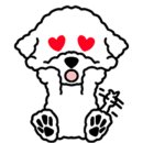 아미덴탈 이미지