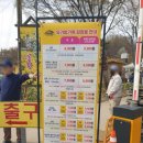 서산소나무힐링 | 서산 수선화명소 유기방가옥 풍경 힐링여행