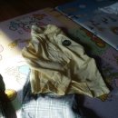 대동유치원 이미지