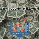 4000 이미지